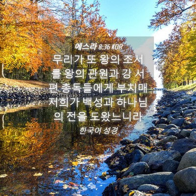 Picture 04 - 에스라 8:36 KOR - 무리가 또 왕의 조서를 왕의 관원과 - Bible Verse Picture