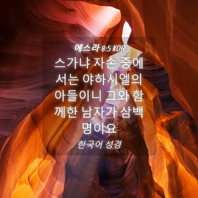 Picture 04 - 에스라 8:5 KOR - 스가냐 자손 중에서는 야하시엘의 - Bible Verse Picture