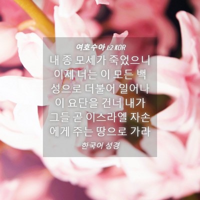 Picture 04 - 여호수아 1:2 KOR - 내 종 모세가 죽었으니 이제 너는 이 - Bible Verse Picture