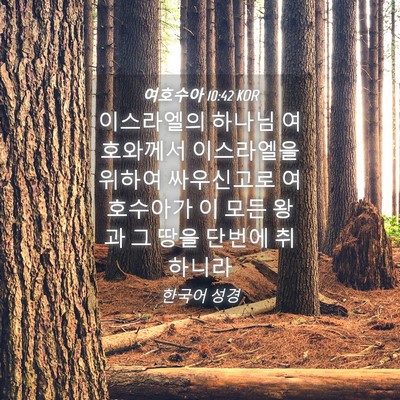 Picture 04 - 여호수아 10:42 KOR - 이스라엘의 하나님 여호와께서 - Bible Verse Picture