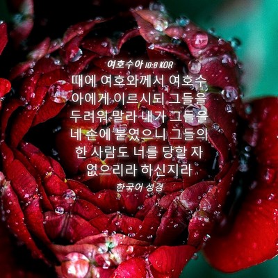 Picture 04 - 여호수아 10:8 KOR - 때에 여호와께서 여호수아에게 - Bible Verse Picture