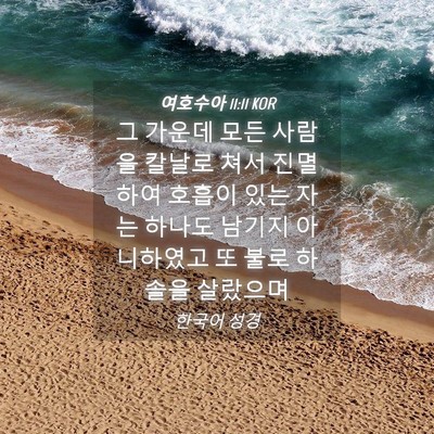 Picture 04 - 여호수아 11:11 KOR - 그 가운데 모든 사람을 칼날로 쳐서 - Bible Verse Picture