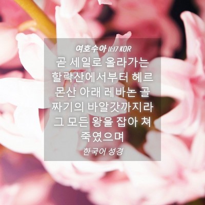 Picture 04 - 여호수아 11:17 KOR - 곧 세일로 올라가는 할락산에서부터 - Bible Verse Picture