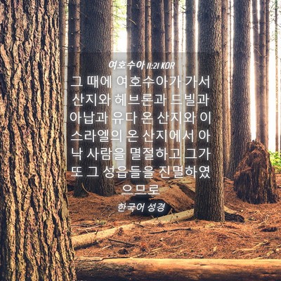 Picture 04 - 여호수아 11:21 KOR - 그 때에 여호수아가 가서 산지와 - Bible Verse Picture