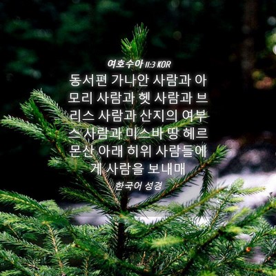 Picture 04 - 여호수아 11:3 KOR - 동서편 가나안 사람과 아모리 사람과 - Bible Verse Picture