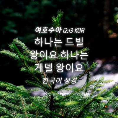 Picture 04 - 여호수아 12:13 KOR - 하나는 드빌 왕이요 하나는 게델 - Bible Verse Picture