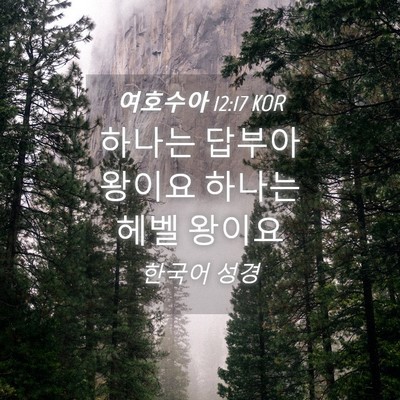 Picture 04 - 여호수아 12:17 KOR - 하나는 답부아 왕이요 하나는 헤벨 - Bible Verse Picture