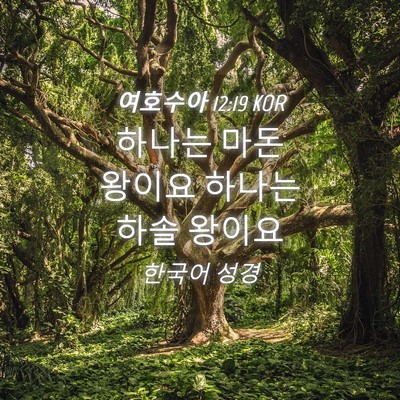Picture 04 - 여호수아 12:19 KOR - 하나는 마돈 왕이요 하나는 하솔 - Bible Verse Picture