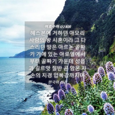Picture 04 - 여호수아 12:2 KOR - 헤스본에 거하던 아모리 사람의 왕 - Bible Verse Picture