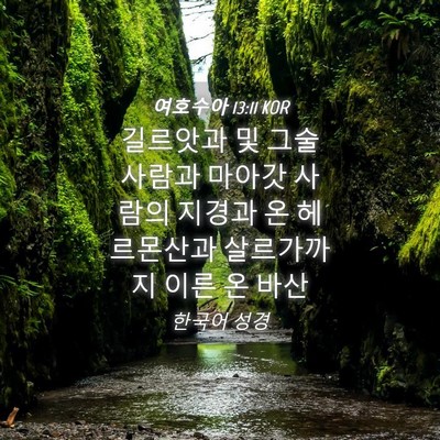 Picture 04 - 여호수아 13:11 KOR - 길르앗과 및 그술 사람과 마아갓 - Bible Verse Picture