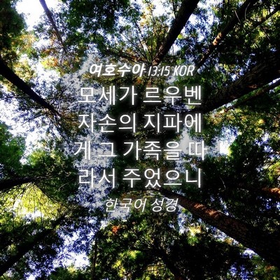 Picture 04 - 여호수아 13:15 KOR - 모세가 르우벤 자손의 지파에게 그 - Bible Verse Picture
