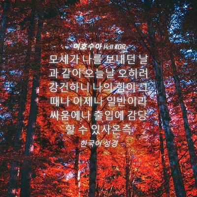 Picture 04 - 여호수아 14:11 KOR - 모세가 나를 보내던 날과 같이 - Bible Verse Picture