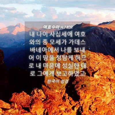 Picture 04 - 여호수아 14:7 KOR - 내 나이 사십세에 여호와의 종 - Bible Verse Picture