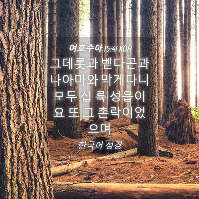 Picture 04 - 여호수아 15:41 KOR - 그데롯과 벧다곤과 나아마와 - Bible Verse Picture
