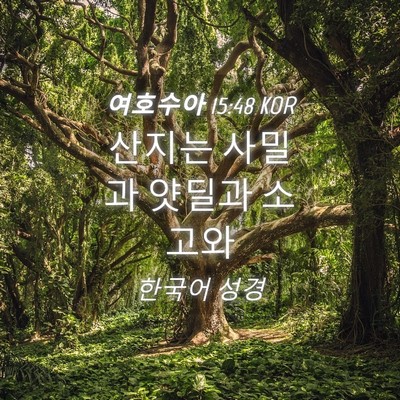 Picture 04 - 여호수아 15:48 KOR - 산지는 사밀과 얏딜과 - Bible Verse Picture