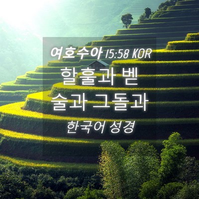 Picture 04 - 여호수아 15:58 KOR - 할훌과 벧 술과 - Bible Verse Picture