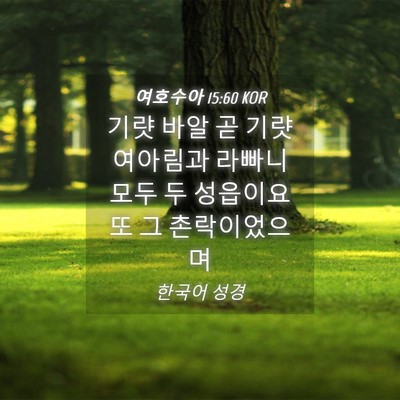 Picture 04 - 여호수아 15:60 KOR - 기럇 바알 곧 기럇 여아림과 라빠니 - Bible Verse Picture