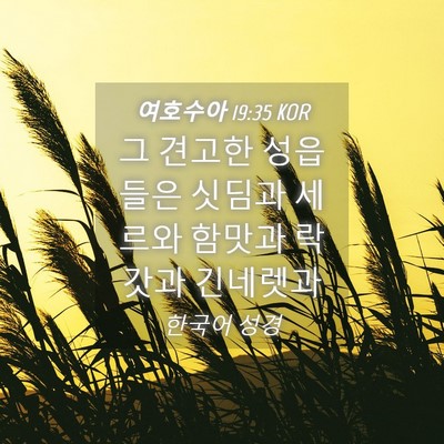 Picture 04 - 여호수아 19:35 KOR - 그 견고한 성읍들은 싯딤과 세르와 - Bible Verse Picture