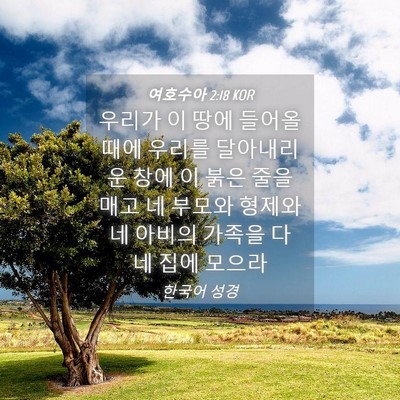 Picture 04 - 여호수아 2:18 KOR - 우리가 이 땅에 들어올 때에 우리를 - Bible Verse Picture