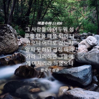 Picture 04 - 여호수아 2:5 KOR - 그 사람들이 어두워 성문을 닫을 - Bible Verse Picture