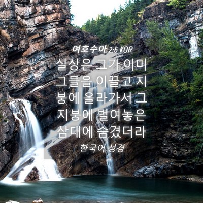 Picture 04 - 여호수아 2:6 KOR - 실상은 그가 이미 그들을 이끌고 - Bible Verse Picture