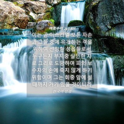 Picture 04 - 여호수아 20:9 KOR - 이는 곧 이스라엘 모든 자손과 그들 - Bible Verse Picture