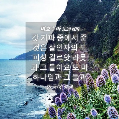 Picture 04 - 여호수아 21:38 KOR - 갓 지파 중에서 준 것은 살인자의 - Bible Verse Picture