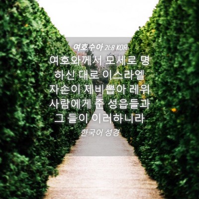Picture 04 - 여호수아 21:8 KOR - 여호와께서 모세로 명하신 대로 - Bible Verse Picture