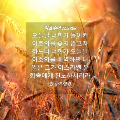 Picture 04 - 여호수아 22:18 KOR - 오늘날 너희가 돌이켜 여호와를 좇지 - Bible Verse Picture