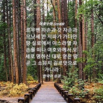 Picture 04 - 여호수아 22:9 KOR - 르우벤 자손과 갓 자손과 므낫세 반 - Bible Verse Picture