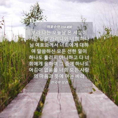 Picture 04 - 여호수아 23:14 KOR - 보라 나는 오늘날 온 세상이 가는 - Bible Verse Picture