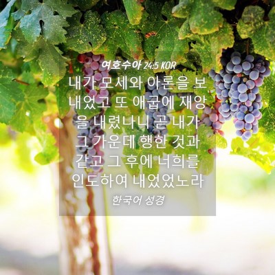 Picture 04 - 여호수아 24:5 KOR - 내가 모세와 아론을 보내었고 또 - Bible Verse Picture