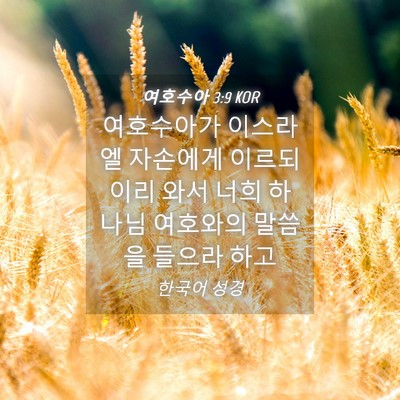 Picture 04 - 여호수아 3:9 KOR - 여호수아가 이스라엘 자손에게 - Bible Verse Picture