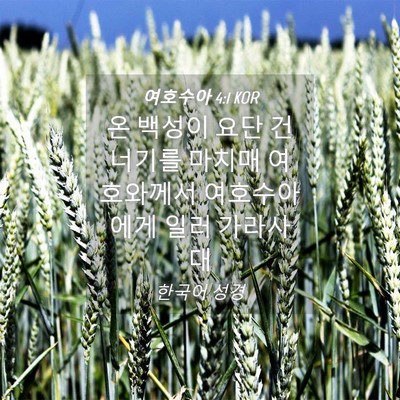 Picture 04 - 여호수아 4:1 KOR - 온 백성이 요단 건너기를 마치매 - Bible Verse Picture