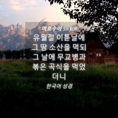 Picture 04 - 여호수아 5:11 KOR - 유월절 이튿날에 그 땅 소산을 먹되 - Bible Verse Picture