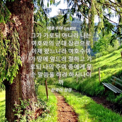 Picture 04 - 여호수아 5:14 KOR - 그가 가로되 아니라 나는 여호와의 - Bible Verse Picture