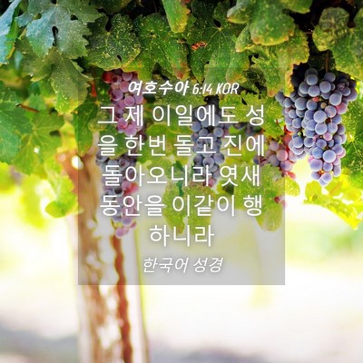 Picture 04 - 여호수아 6:14 KOR - 그 제 이일에도 성을 한번 돌고 진에 - Bible Verse Picture