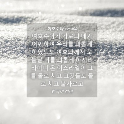 Picture 04 - 여호수아 7:25 KOR - 여호수아가 가로되 네가 어찌하여 - Bible Verse Picture