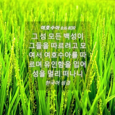 Picture 04 - 여호수아 8:16 KOR - 그 성 모든 백성이 그들을 따르려고 - Bible Verse Picture