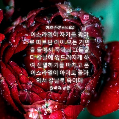 Picture 04 - 여호수아 8:24 KOR - 이스라엘이 자기를 광야로 따르던 - Bible Verse Picture