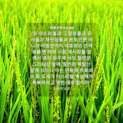 Picture 04 - 여호수아 8:33 KOR - 