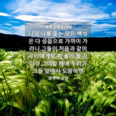 Picture 04 - 여호수아 8:5 KOR - 나와 나를 좇는 모든 백성은 다 - Bible Verse Picture