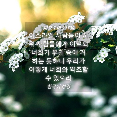 Picture 04 - 여호수아 9:7 KOR - 이스라엘 사람들이 히위 사람들에게 - Bible Verse Picture