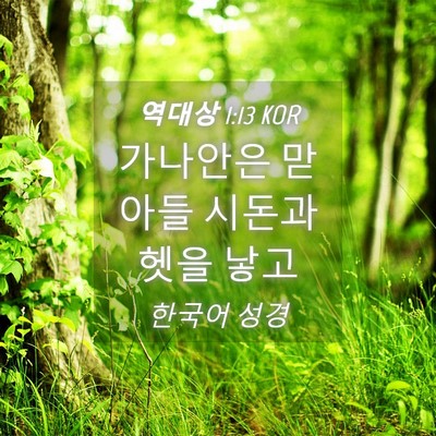 Picture 04 - 역대상 1:13 KOR - 가나안은 맏아들 시돈과 헷을 - Bible Verse Picture