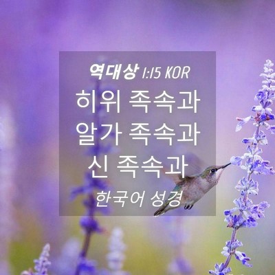 Picture 04 - 역대상 1:15 KOR - 히위 족속과 알가 족속과 신 - Bible Verse Picture