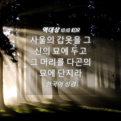 Picture 04 - 역대상 10:10 KOR - 사울의 갑옷을 그 신의 묘에 두고 그 - Bible Verse Picture