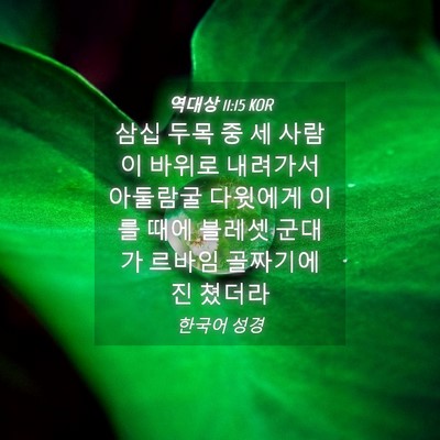 Picture 04 - 역대상 11:15 KOR - 삼십 두목 중 세 사람이 바위로 - Bible Verse Picture