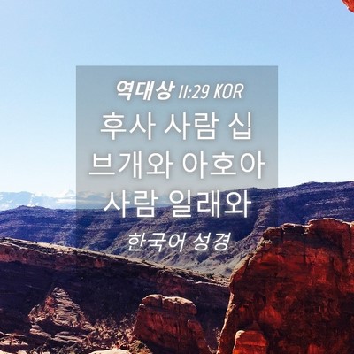 Picture 04 - 역대상 11:29 KOR - 후사 사람 십브개와 아호아 사람 - Bible Verse Picture