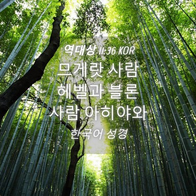 Picture 04 - 역대상 11:36 KOR - 므게랏 사람 헤벨과 블론 사람 - Bible Verse Picture