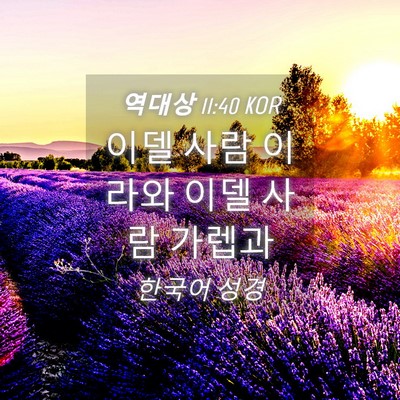 Picture 04 - 역대상 11:40 KOR - 이델 사람 이라와 이델 사람 - Bible Verse Picture